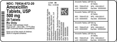 Label (70934 672 20 Master Bottle Label Approval   Rev A 04 20)